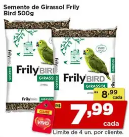Rede Vivo Semente de Girassol Frily Bird oferta