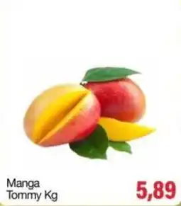 Spani Atacadista Manga Tommy Kg oferta