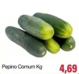 Spani Atacadista Pepino Comum Kg oferta