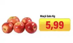 Spani Atacadista Maçã gala kg oferta