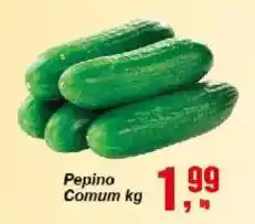 Negreiros Pepino Comum oferta