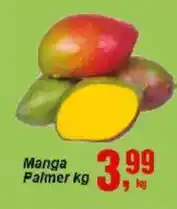 Negreiros Manga palmer kg oferta