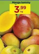 Carrefour Tommy - manga oferta