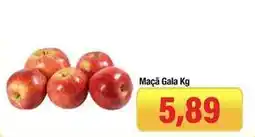 Spani Atacadista Maçã gala oferta