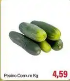 Spani Atacadista Pepino comum oferta