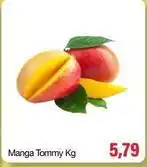 Spani Atacadista Tommy - manga oferta