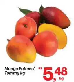 Fort Atacadista Manga palmer/ tommy kg oferta