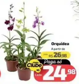 Supermercado Jacomar Orquídea oferta