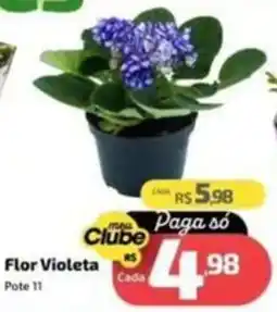 Supermercado Jacomar Flor Violeta oferta