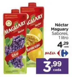 Carrefour Néctar Maguary Sabores oferta