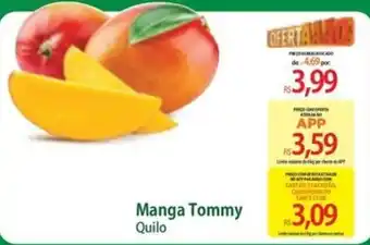 Manga Tommy Quilo