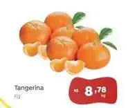 Novo Atacarejo Tangerina oferta