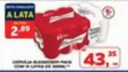 Roldão Cerveja blumenau pack oferta