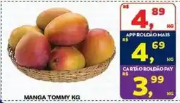 Roldão Manga tommy kg oferta