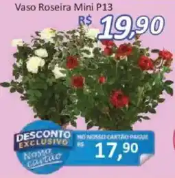Supermercados Savegnago Vaso Roseira Mini P13 oferta