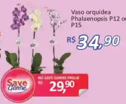 Supermercados Savegnago Vaso orquidea Phalaenopsis oferta
