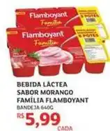 Assaí Atacadista Flamboyant - bebida lactea sabor morango família oferta
