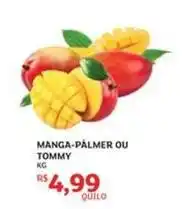 Assaí Atacadista Tommy - manga-palmer ou oferta