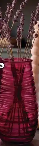 Bistek Supermercados Vaso vidro hauskraft ivy roxo oferta