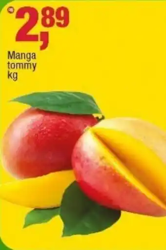 Frangolândia Manga tommy oferta