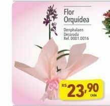 Supermercados Condor Flor orquídea oferta