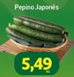 Rede Bom Lugar Pepino Japonês oferta