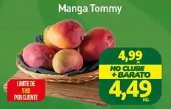 Rede Bom Lugar Manga Tommy oferta