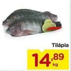 Carrefour Bairro Tilapia 1kg oferta