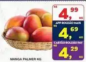 Roldão Mais - manga palmer oferta