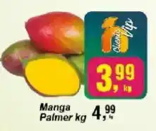 Negreiros Manga palmer oferta