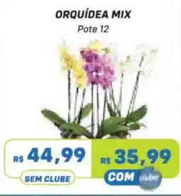 Prezunic Orquídea mix oferta