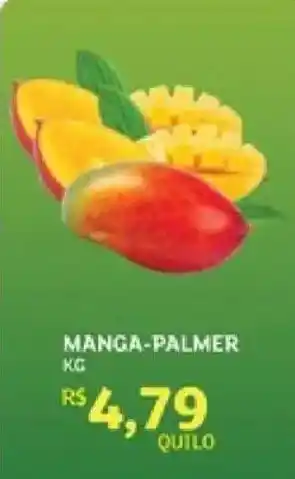 Assaí Atacadista manga-palmer oferta