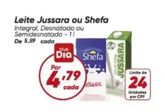 Jussara - leite