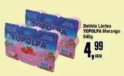 Redeconomia Bebida Láctea YOPOLPA Morango oferta