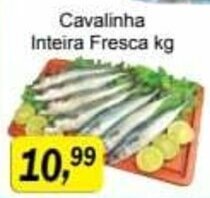 Cavalinha Inteira fresca 1kg