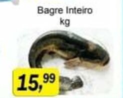 Supermercados Paraná Bagre inteiro 1kg oferta