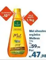 Sam's Club Vale - mel silvestre orgânico oferta