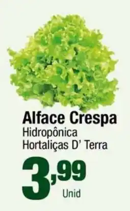 Santo Supermercados Alface Crespa Hidropônica Hortaliças D' Terra oferta