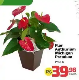 Supermercado Jacomar Flor Anthurium Michigan Premium oferta