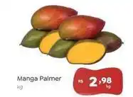 Novo Atacarejo Manga palmer oferta