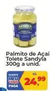 Tonin Superatacado Sandyla - palmito de açaína tolete oferta