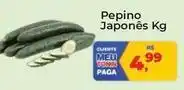 Tonin Superatacado Japonês - pepino japonês oferta
