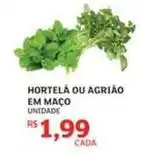 Assaí Atacadista Hortela ou agriao em maço oferta