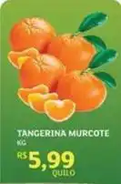 Assaí Atacadista Tangerina murcote oferta