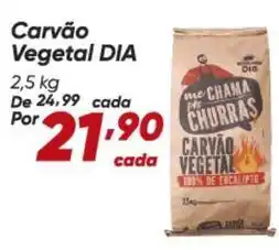 Dia Dia - carvão vegetal oferta