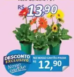 Supermercados Savegnago vaso gerbera 14 oferta