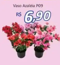 Supermercados Savegnago Vaso Azaléia P09 oferta