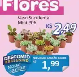 Supermercados Savegnago Vaso Suculenta Mini P06 oferta