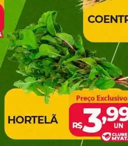 Supermercados Myatã hortelã oferta