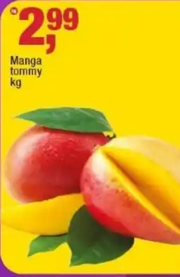 Frangolândia Manga tommy oferta